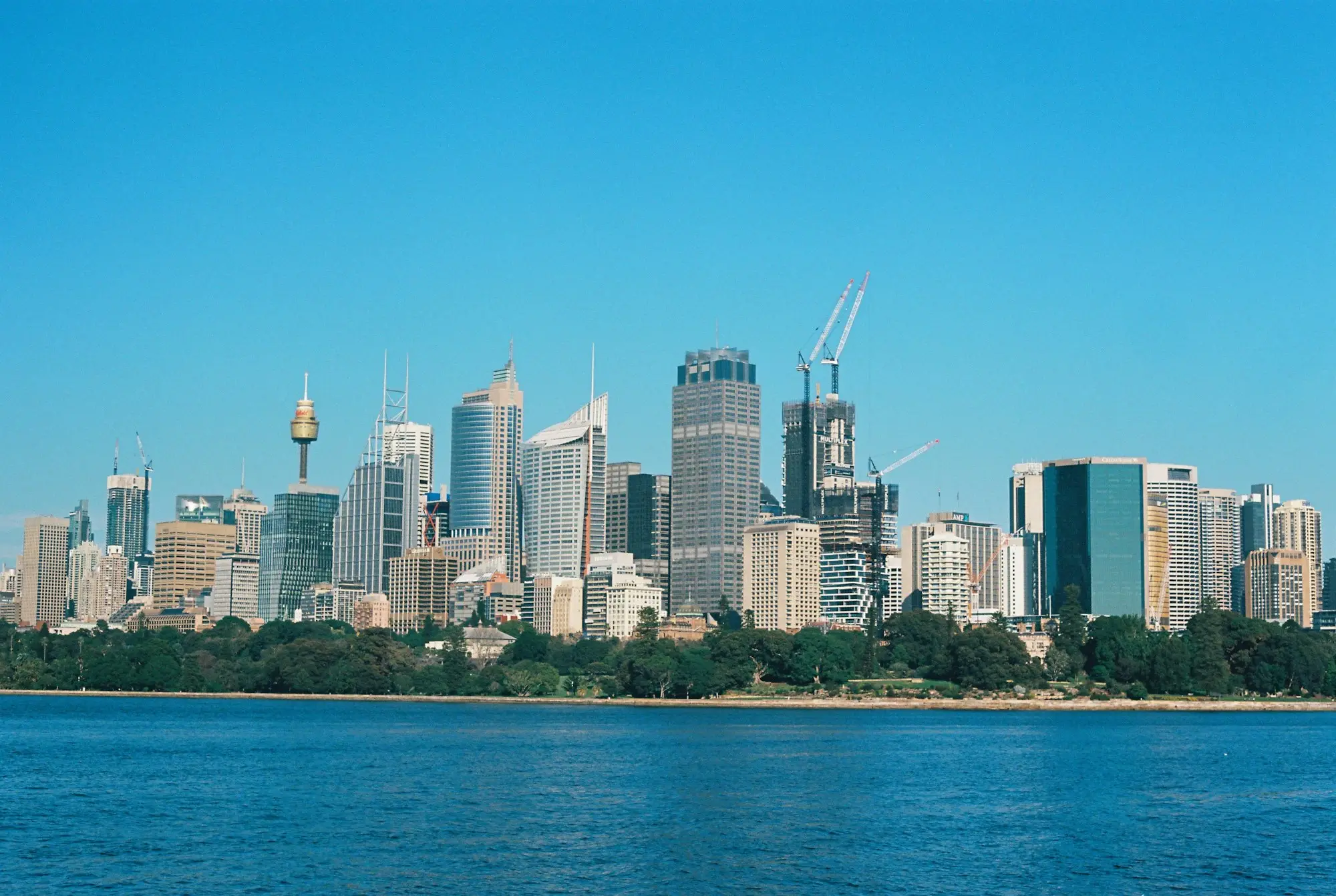 Sydney skyline across the harbour on a clear day